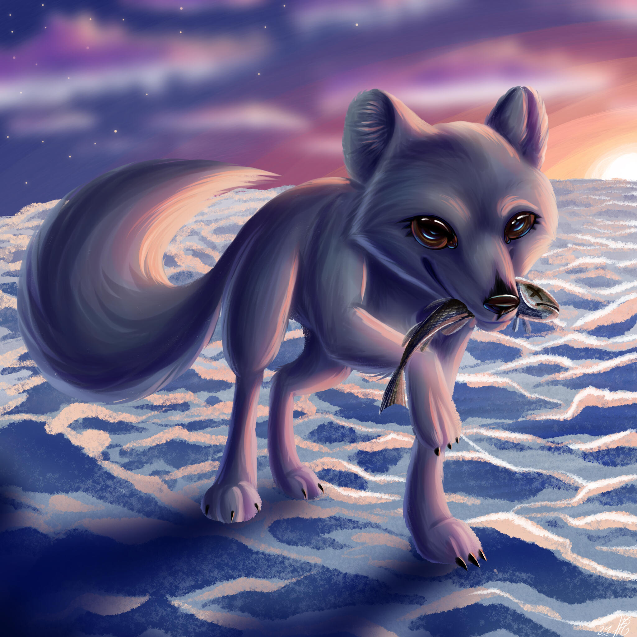 Snow fox - 2024